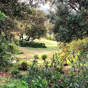 Farm Gli Oleandri Alloggio per agriturismo Loiri Porto San Paolo